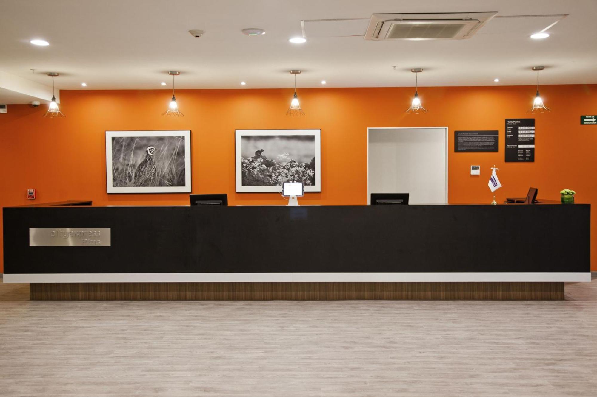City Express Plus By Marriott Monterrey Nuevo Sur Экстерьер фото